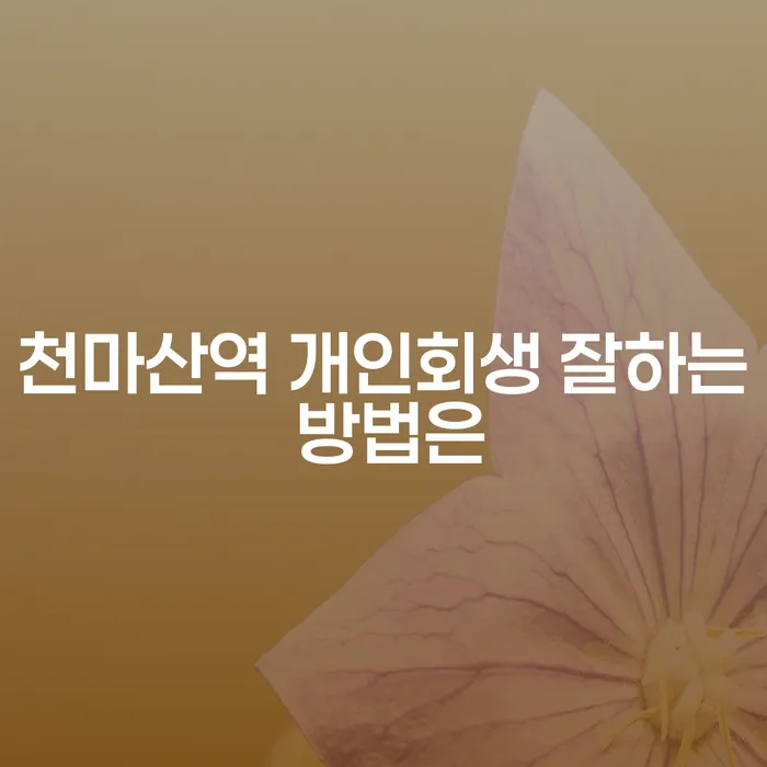 천마산역 개인회생 잘하는 방법은