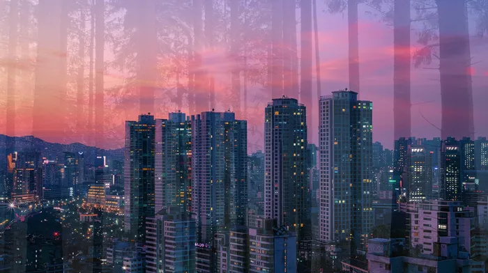 법률 전문가 상담