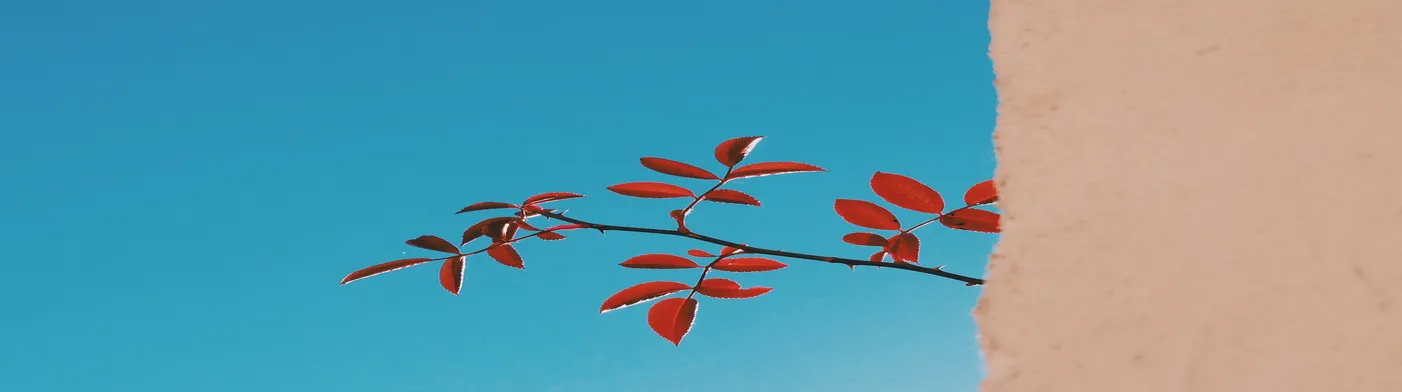 법무법인 서앤율